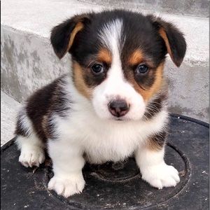 Meet your Posher, Kathy